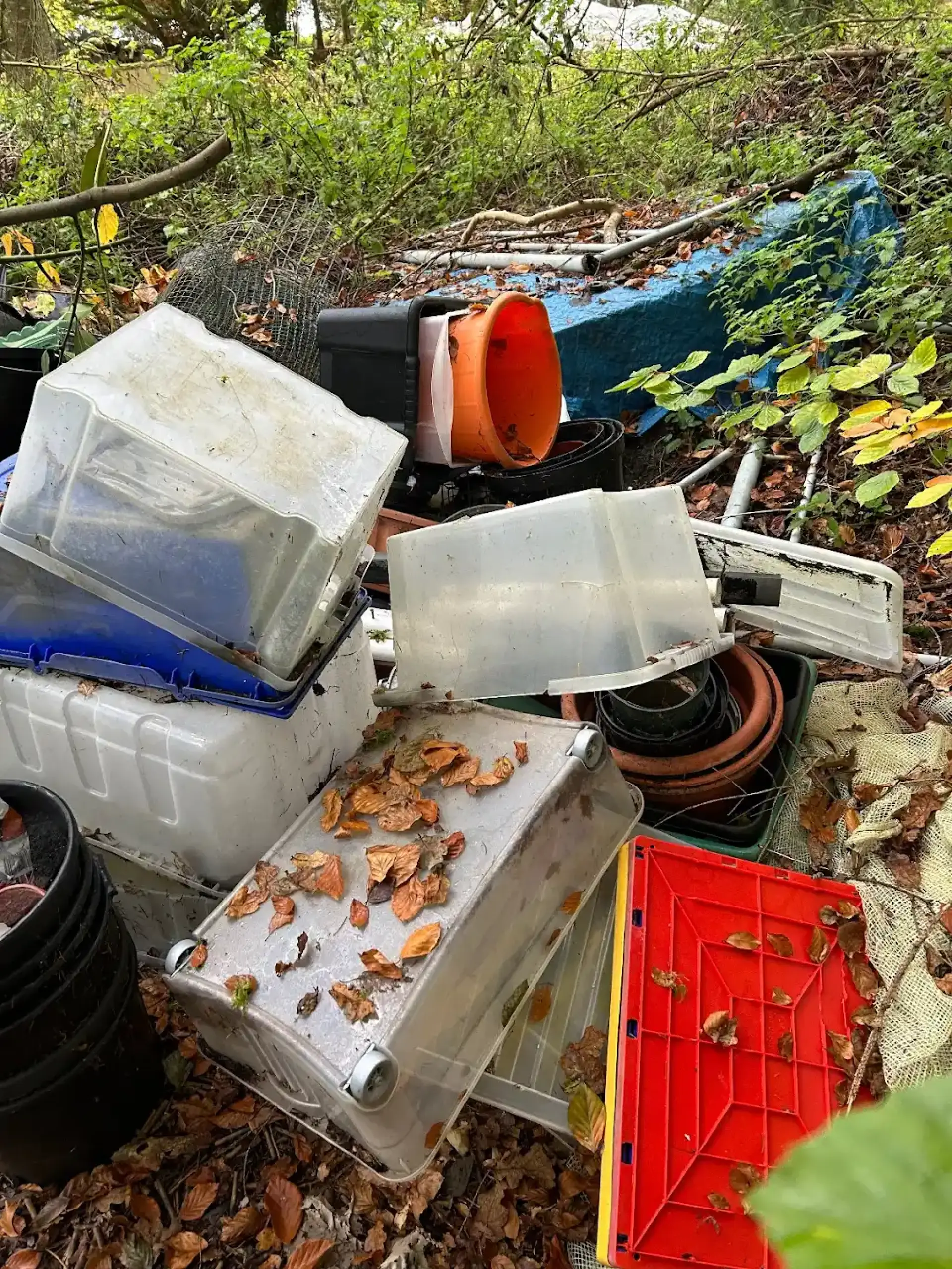 Domestic And Commercial Clearance Southampton